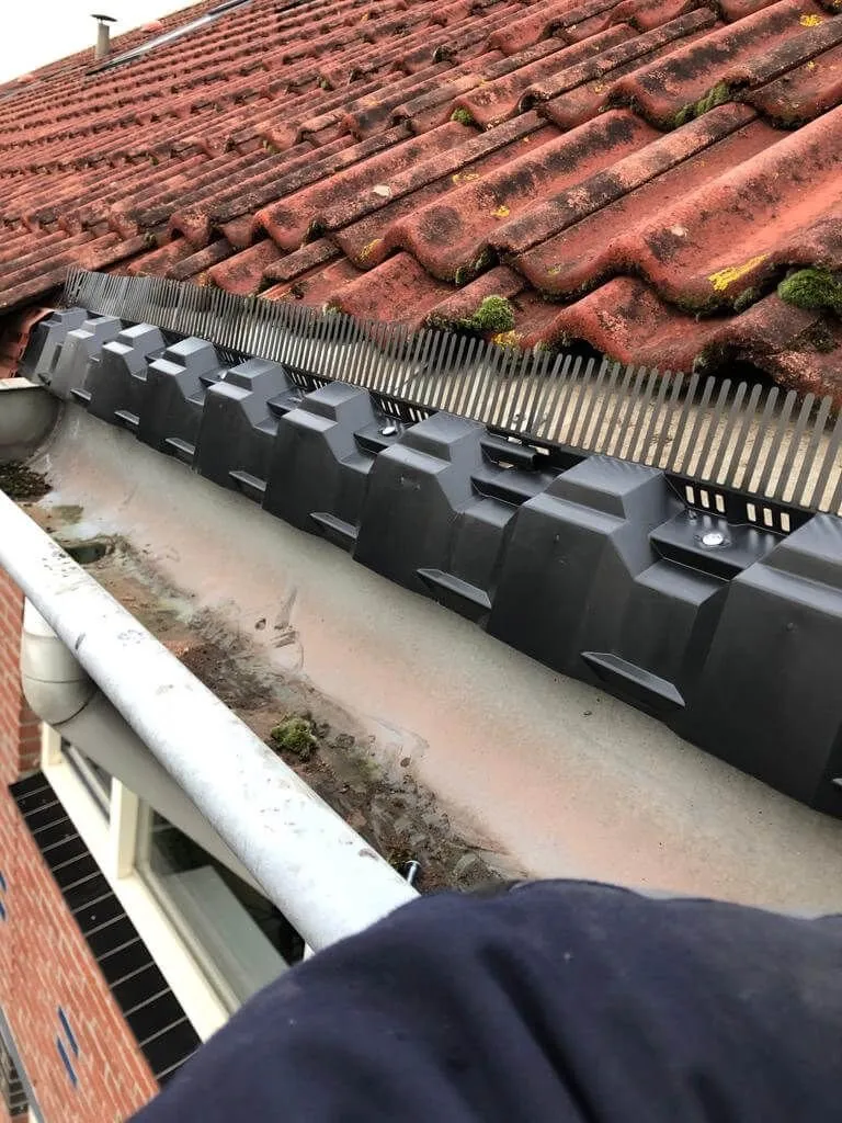 Dakonderhoud met vogelschroot geplaatst