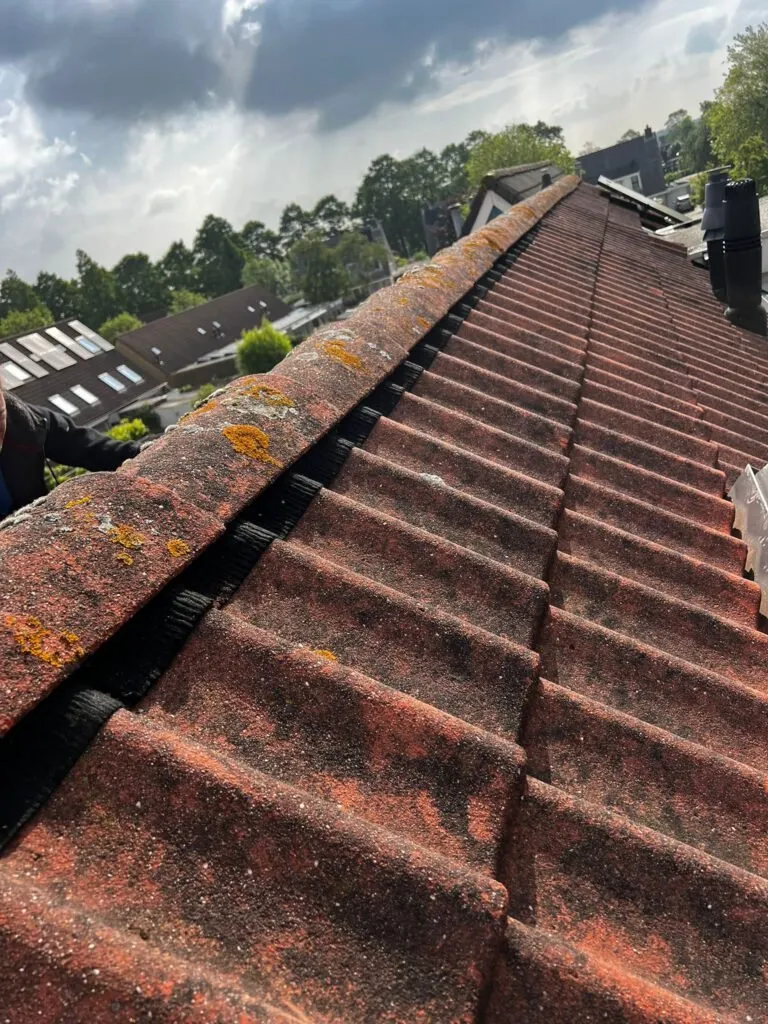 Dakonderhoud — preventief en periodiek